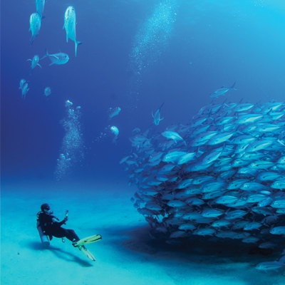 Bloc Vision Aquatique Plonge